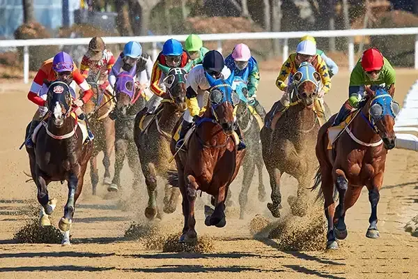 Home stretch Horse race home stretch