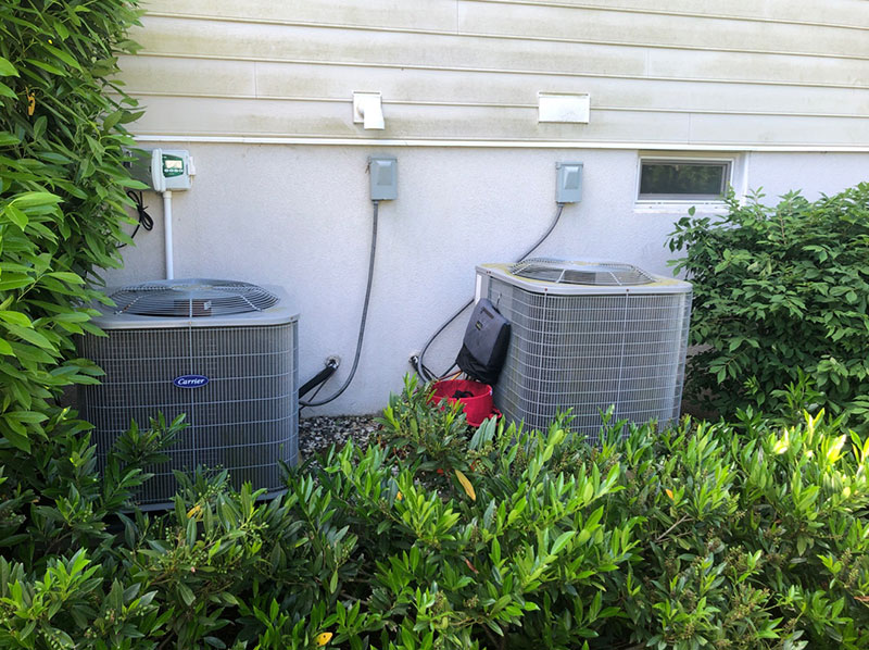 Two air conditioning units sit outside a building with electrical boxes above them, surrounded by bushes.