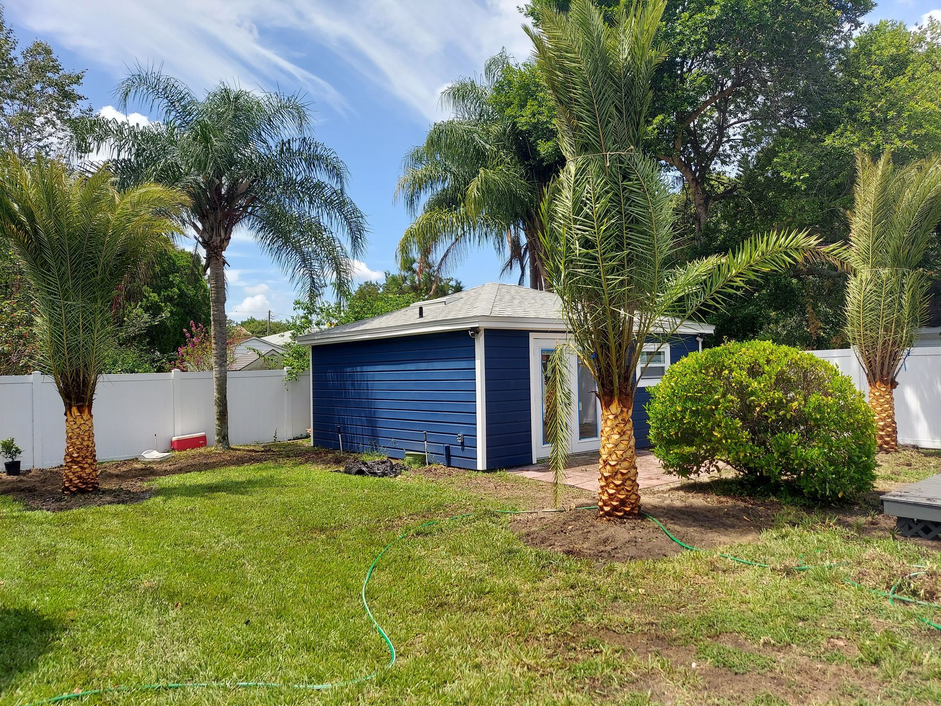A backyard with a blue garage and palm trees.