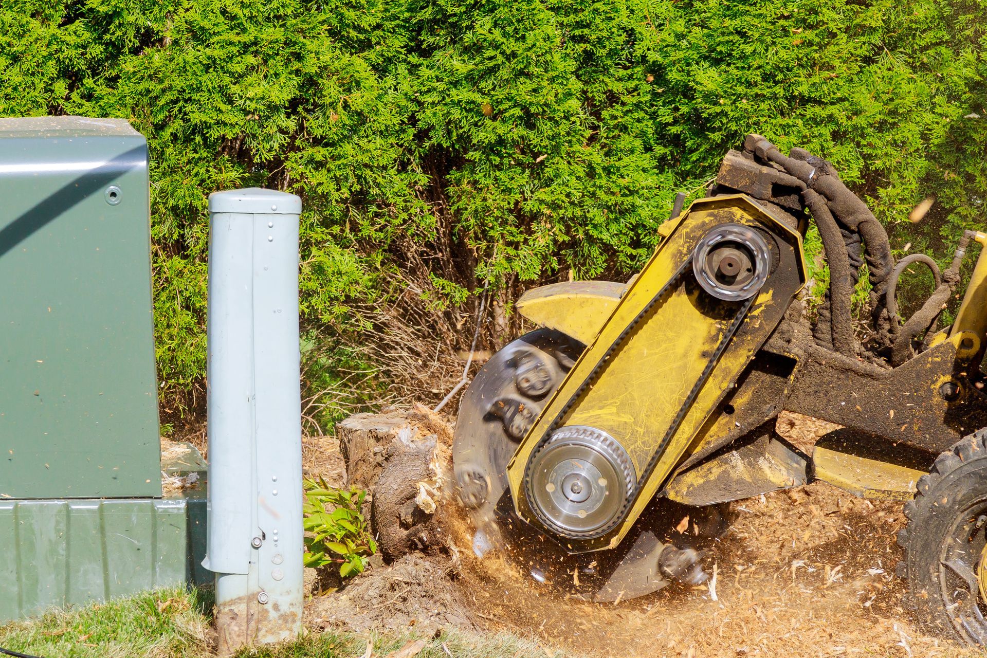 A yellow tractor is stump grinding a tree stump.