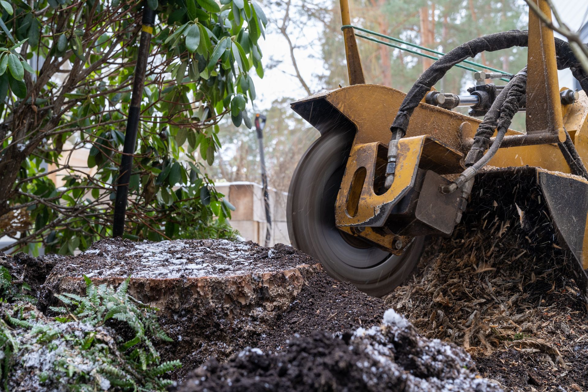 A person is cutting a tree stump with a machine.