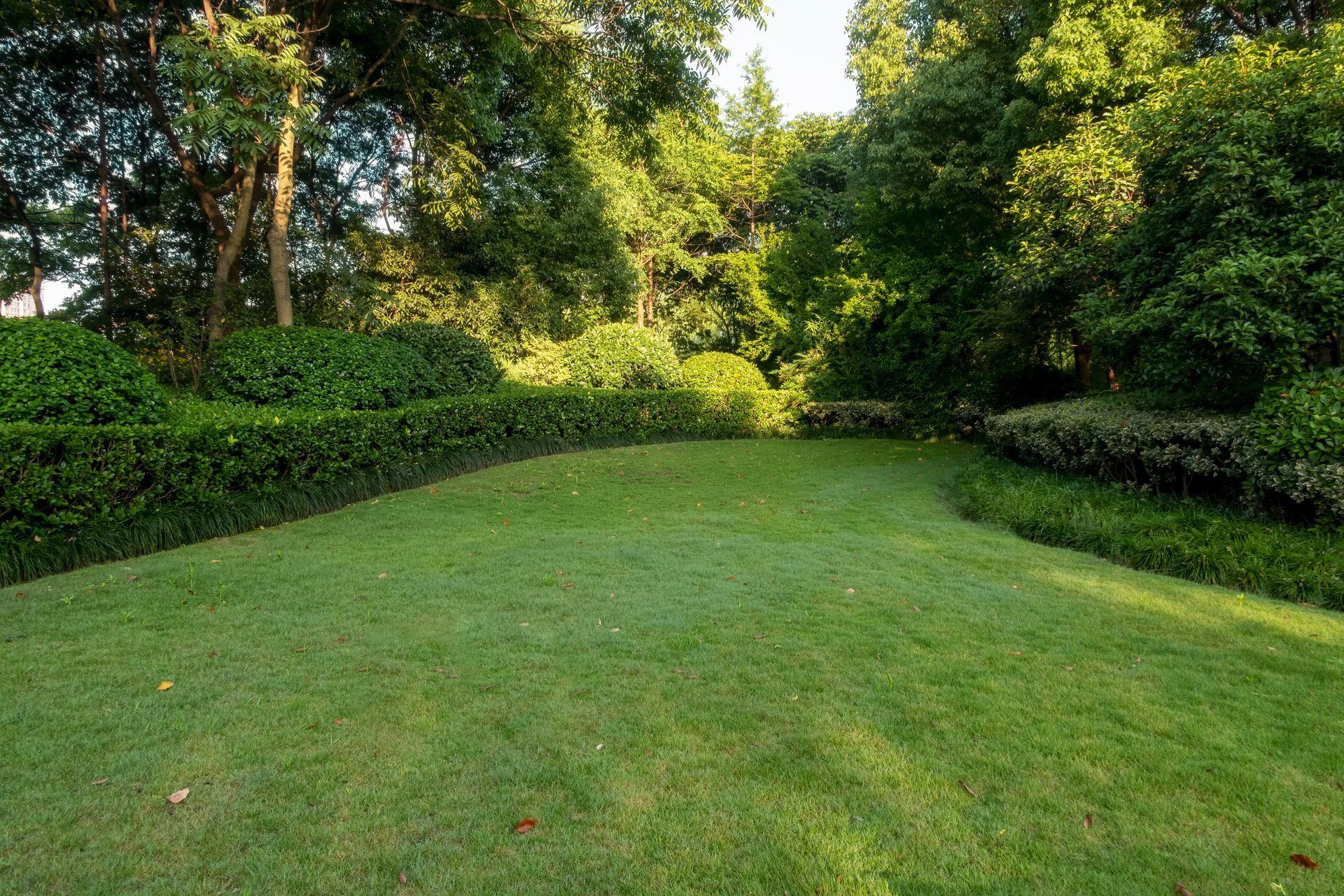Lawn Care - Kinston, NC - Garden Gator Landscape & Design