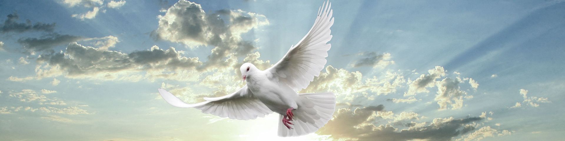Catholic Flying Dove