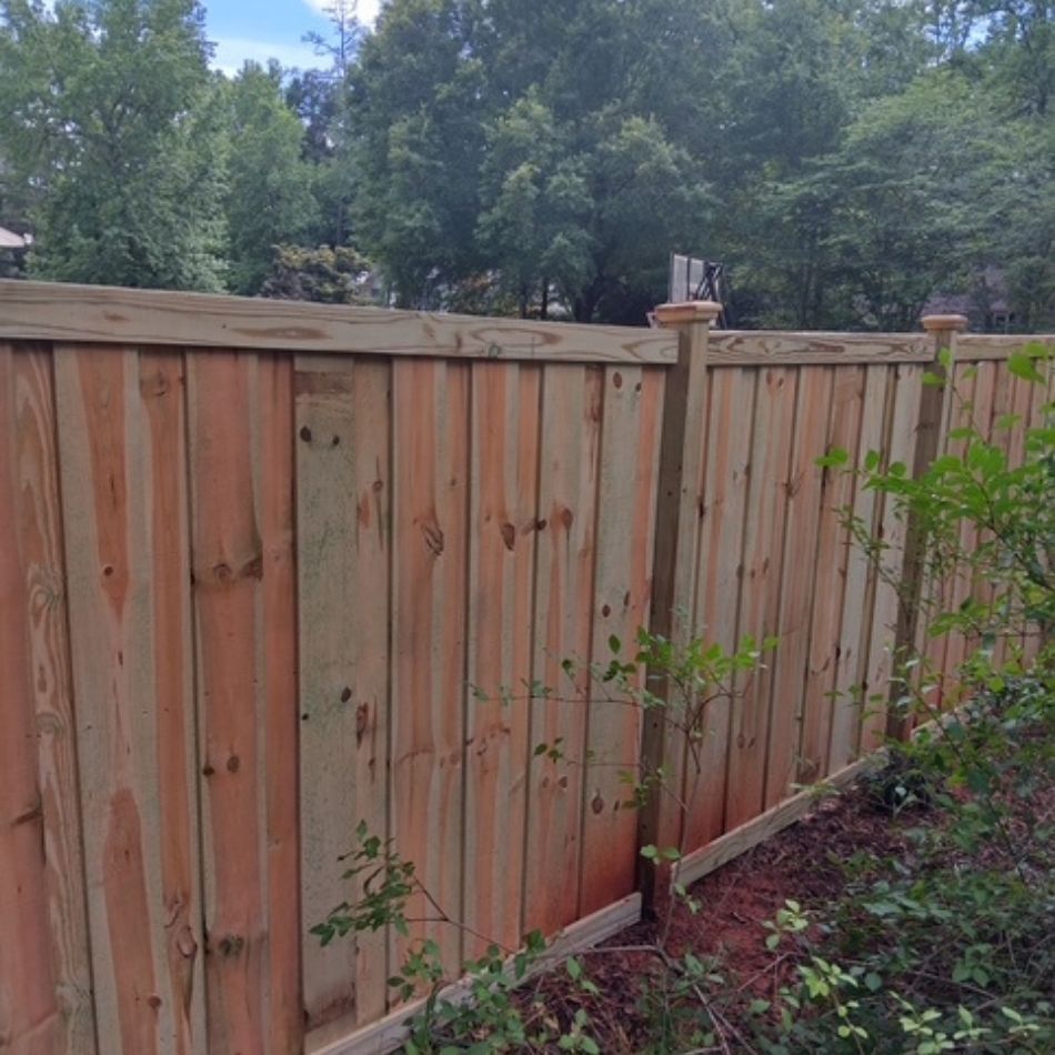 Wooden privacy fence with trees and shrubs in a backyard garden