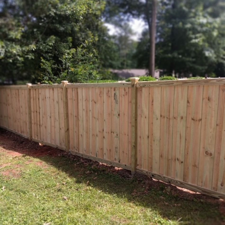 New wooden privacy fence along a grassy yard with trees in the background