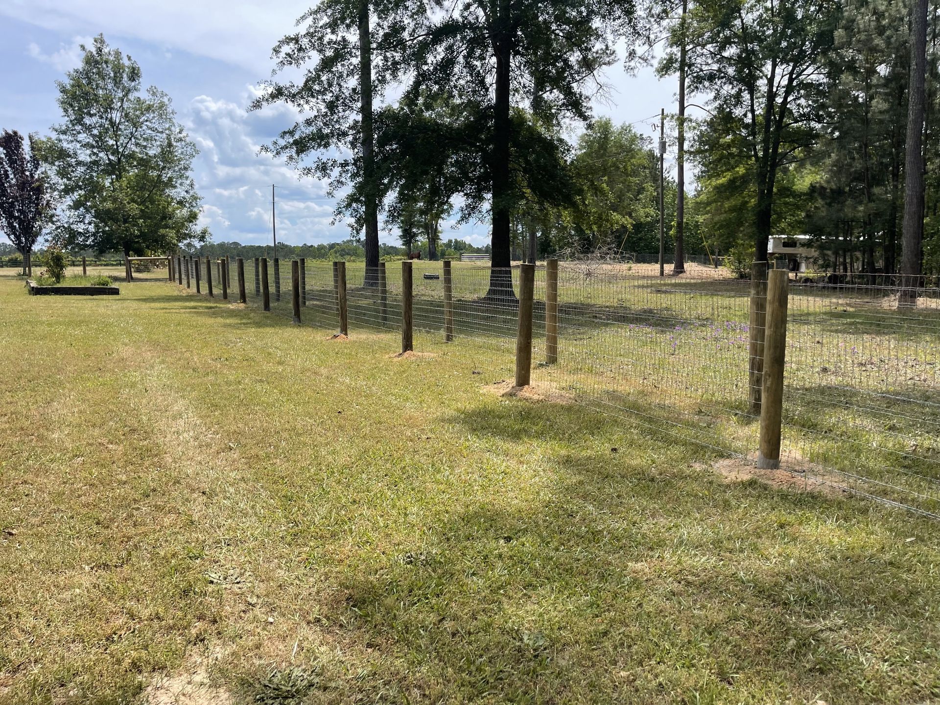 A grassy field with a fence and trees in the background.