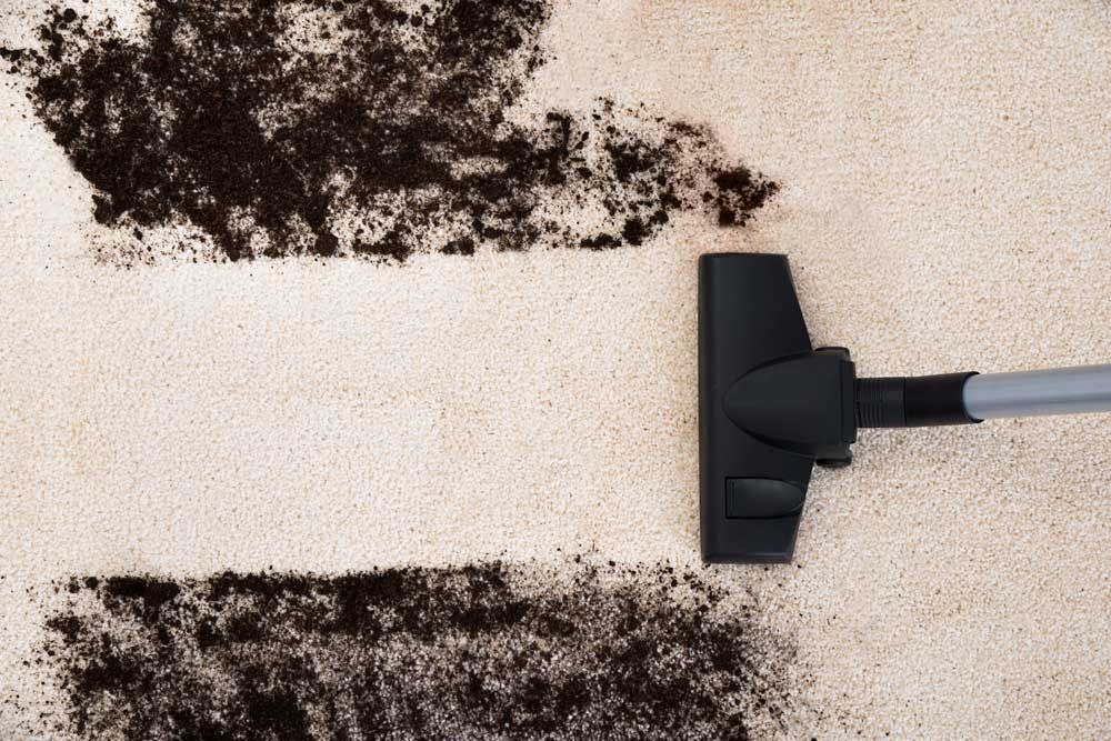 Vacuuming Dirt from Carpet — Carpet Cleaning in Goonellabah, NSW