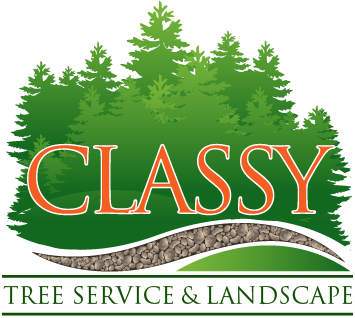 Logo - link to home