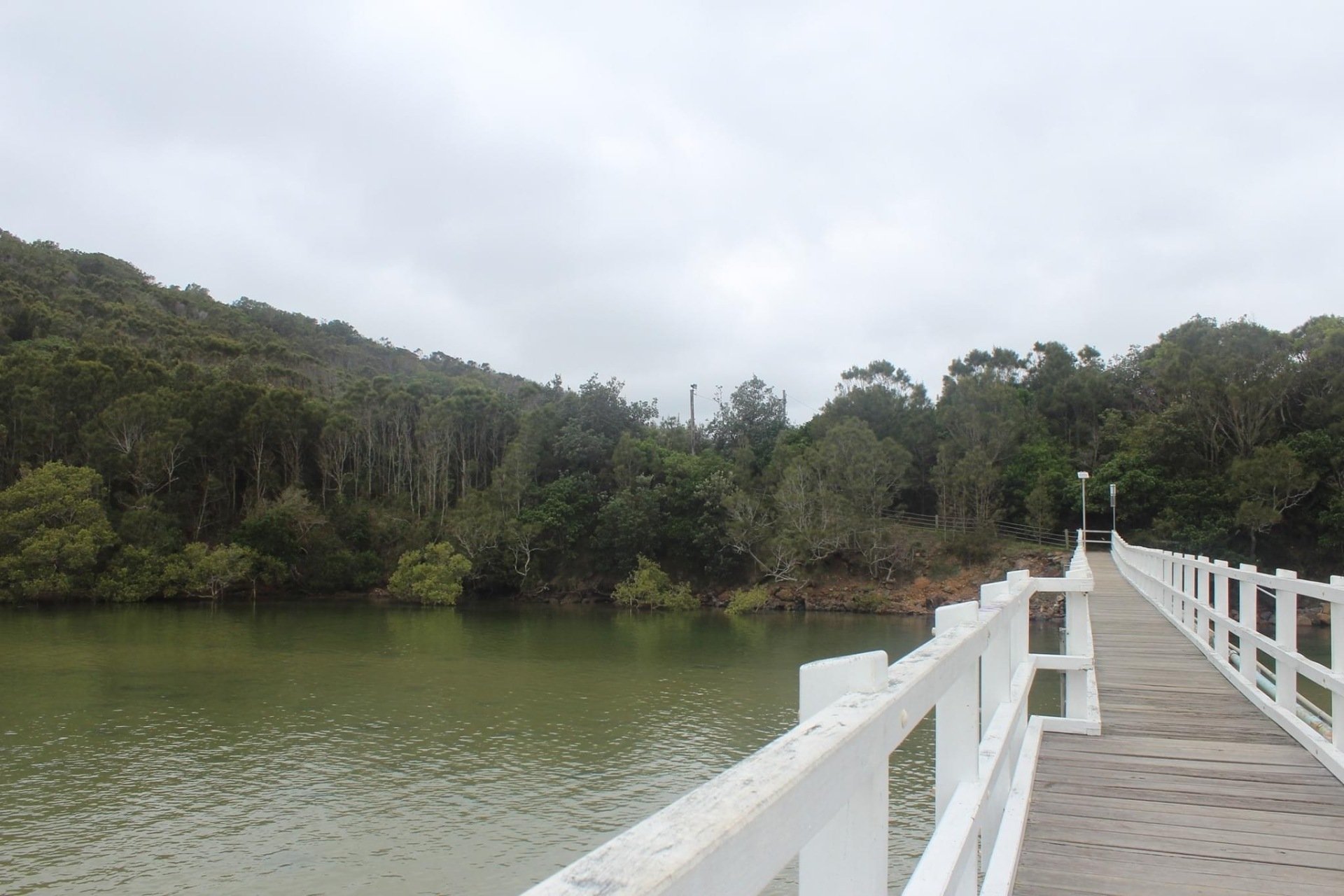 Dunghutti Elders Council (Aboriginal Corporation) in Kempsy RNTBC