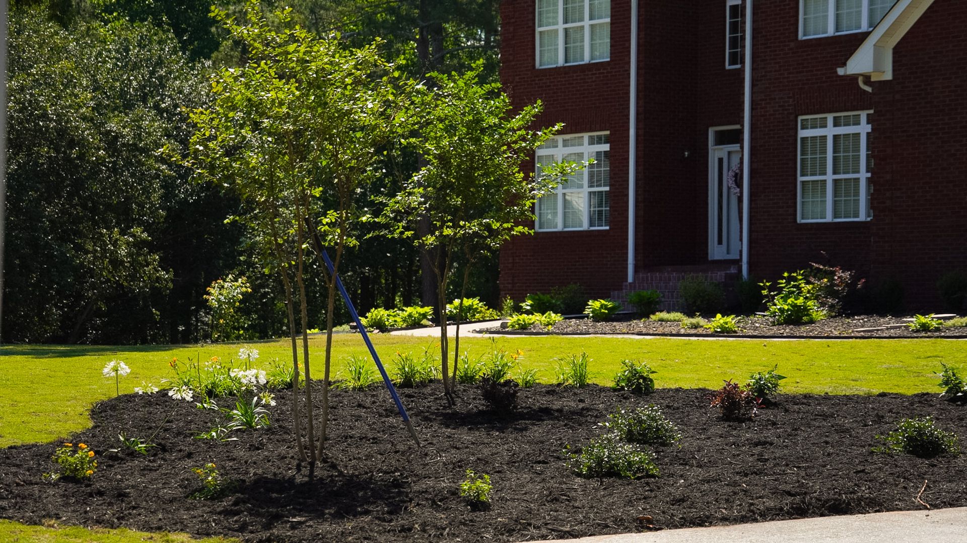 Landscaped flower bed with young shrubs in front of a red house and green lawn