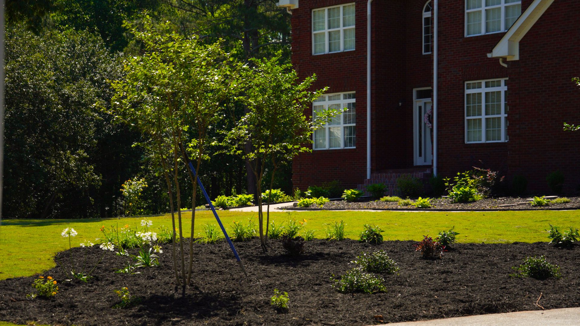 Mulched garden bed with young plants in front of a red brick building and green lawn