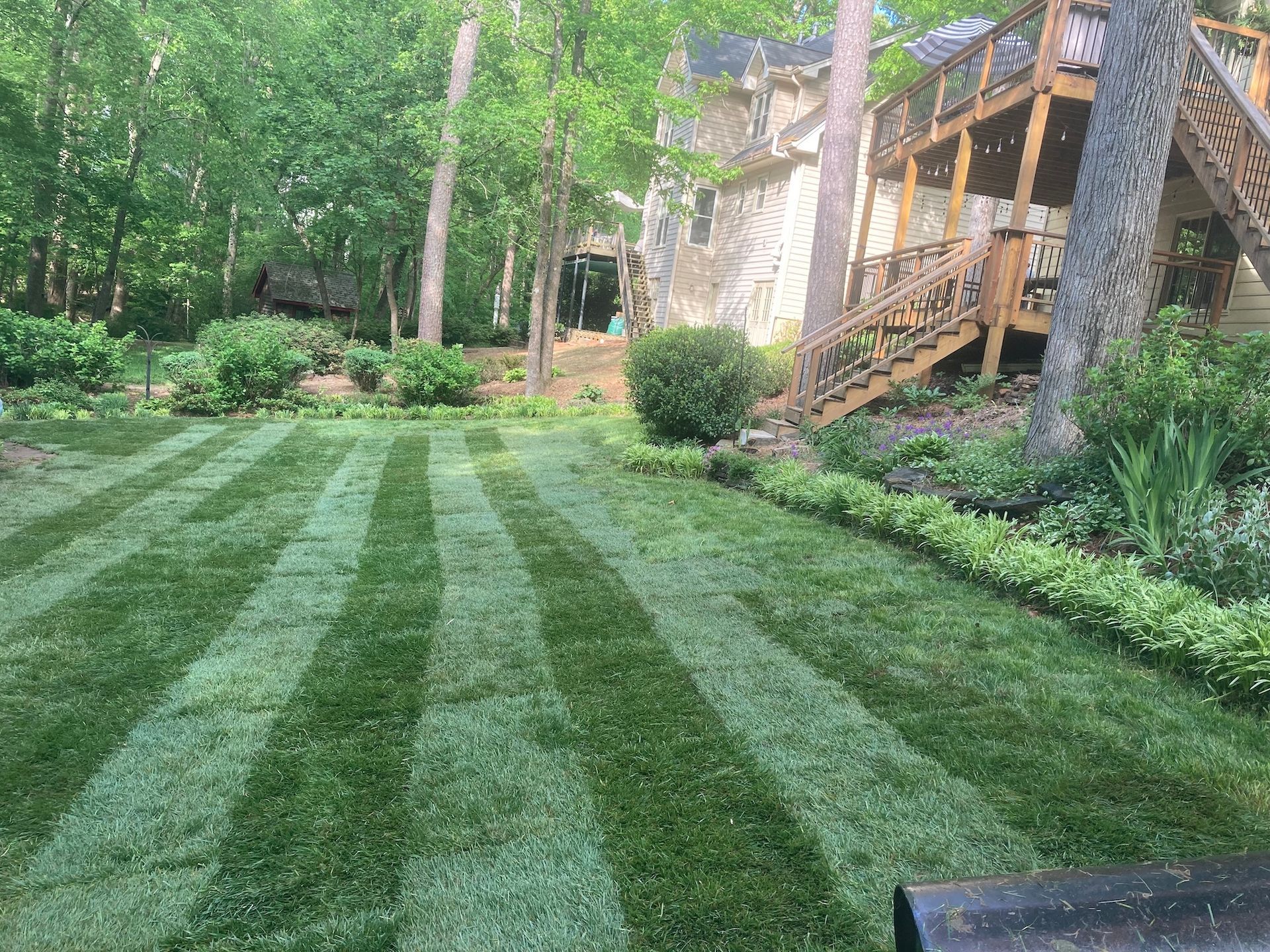 Lawn Care & Mowing