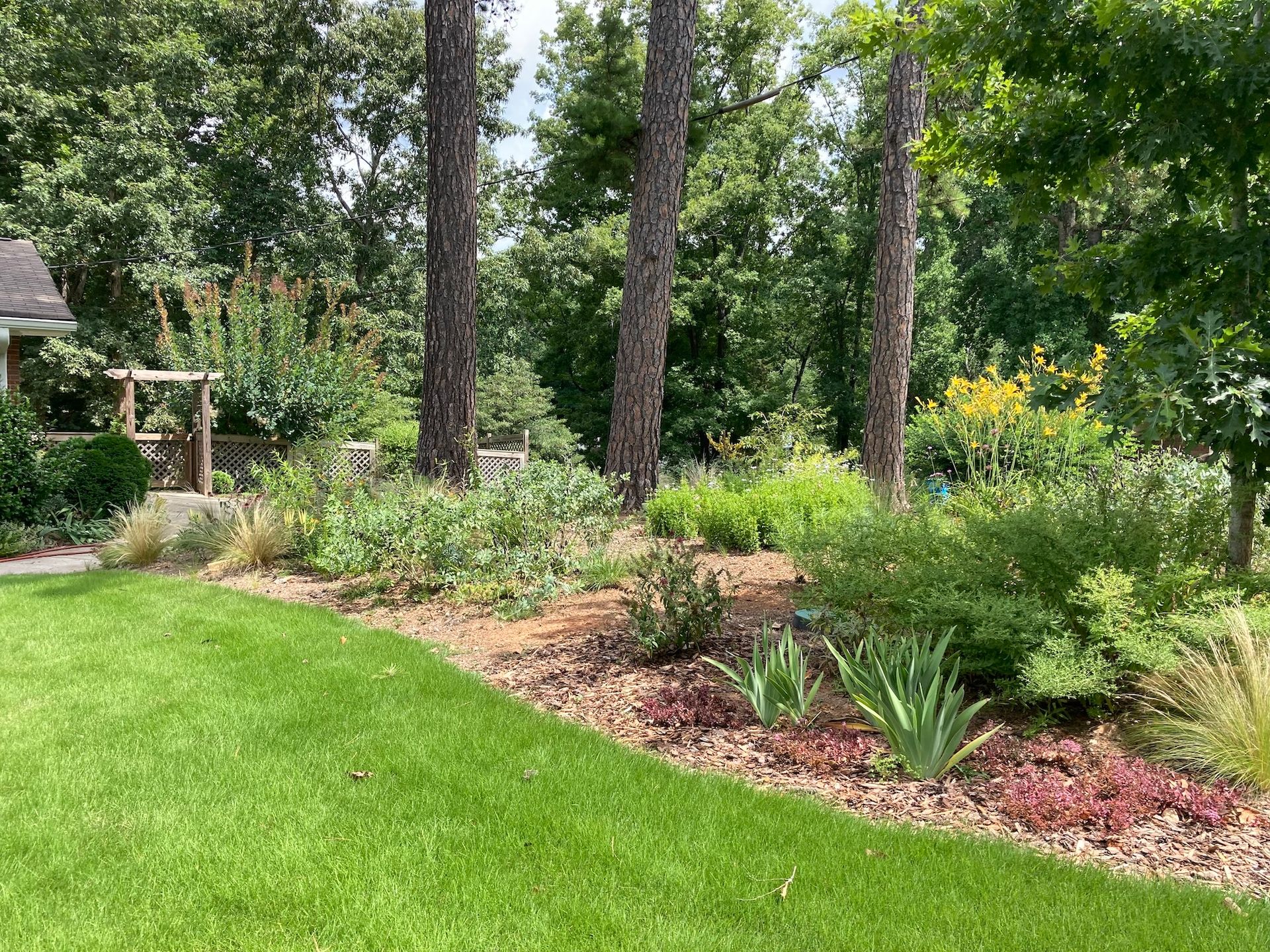 Commercial Bush & Tree Pruning