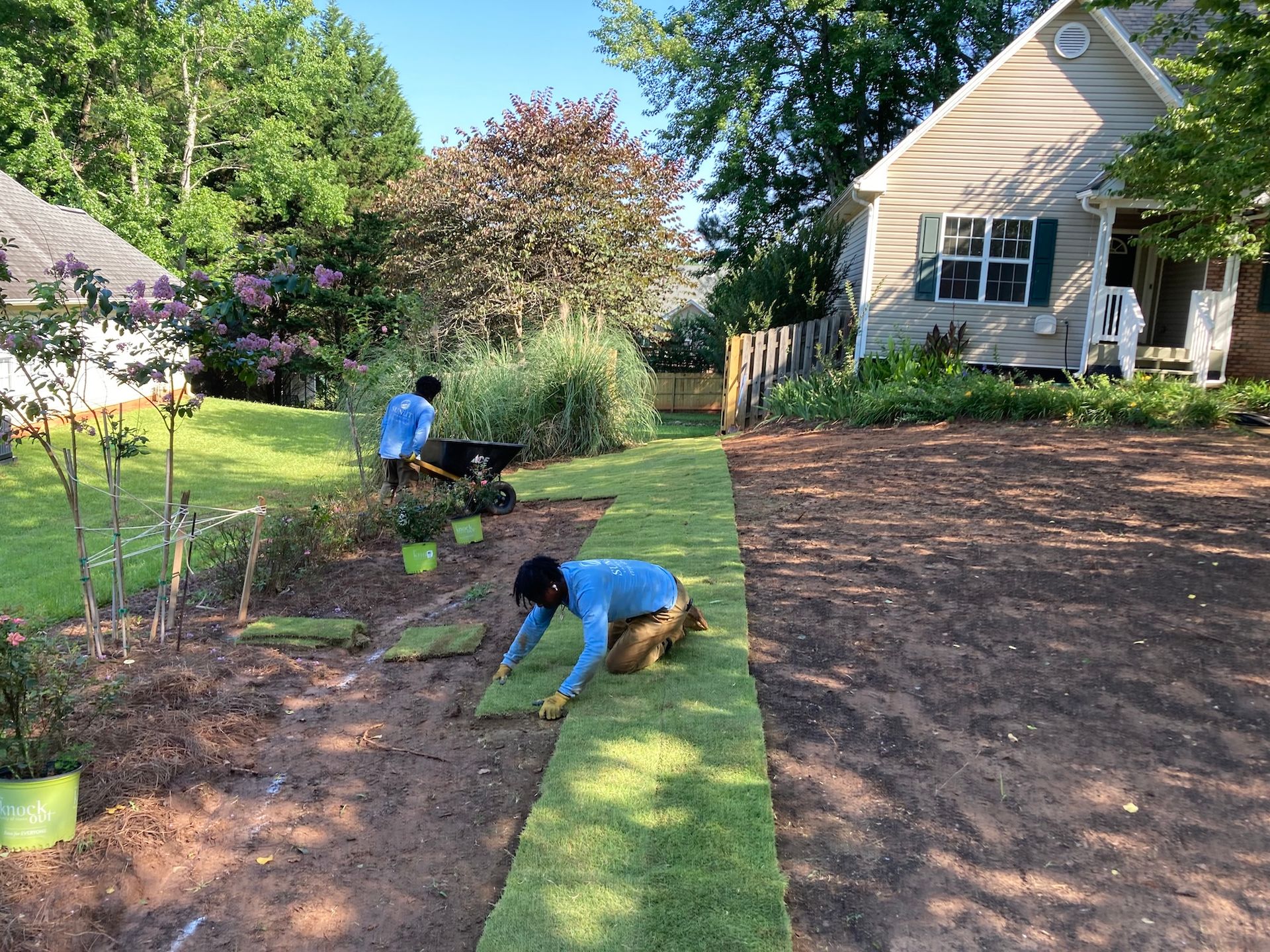 Two people laying sod in a yard; a house in the background.