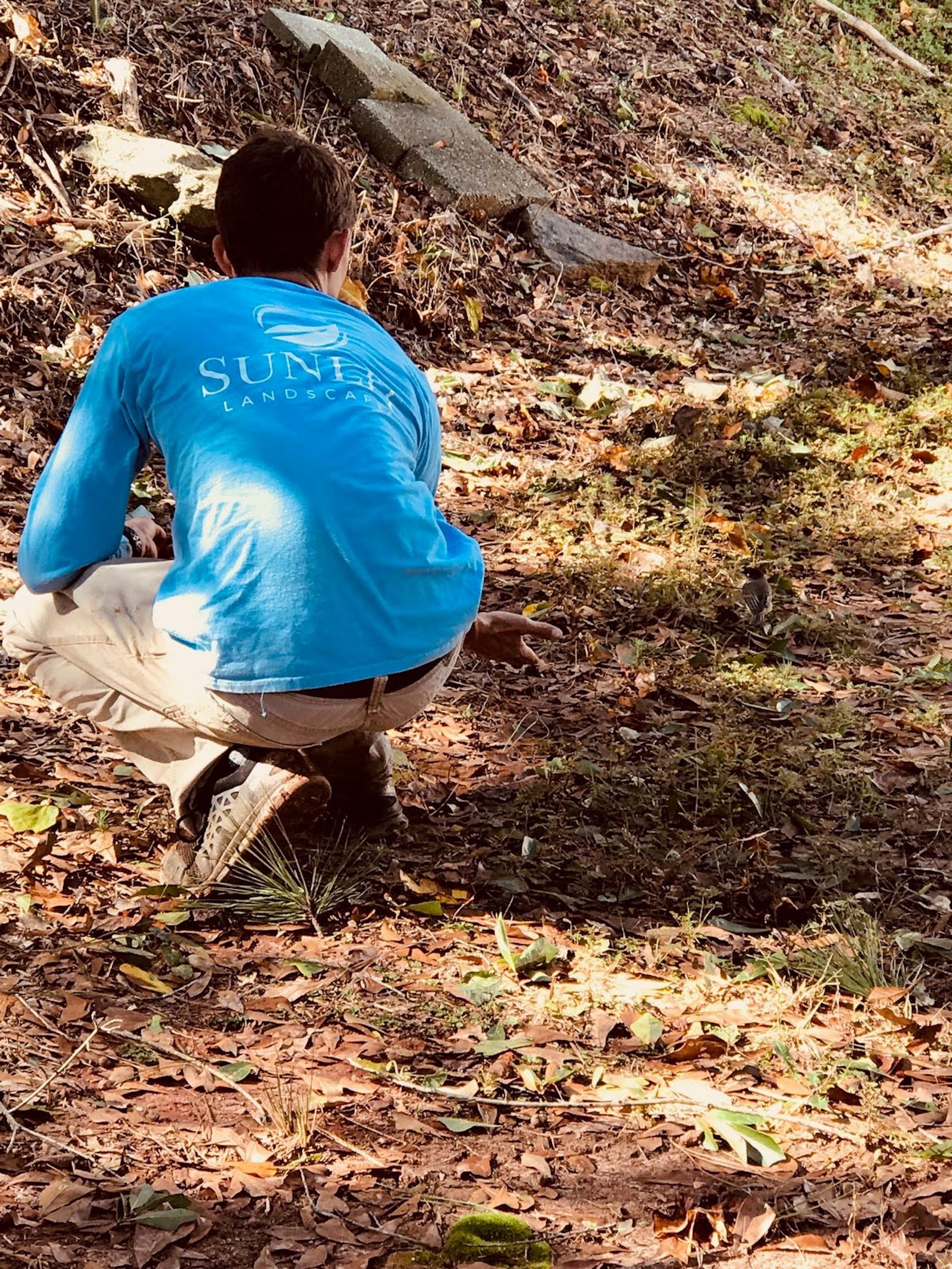 Person in blue shirt crouching near a tombstone in a wooded area.