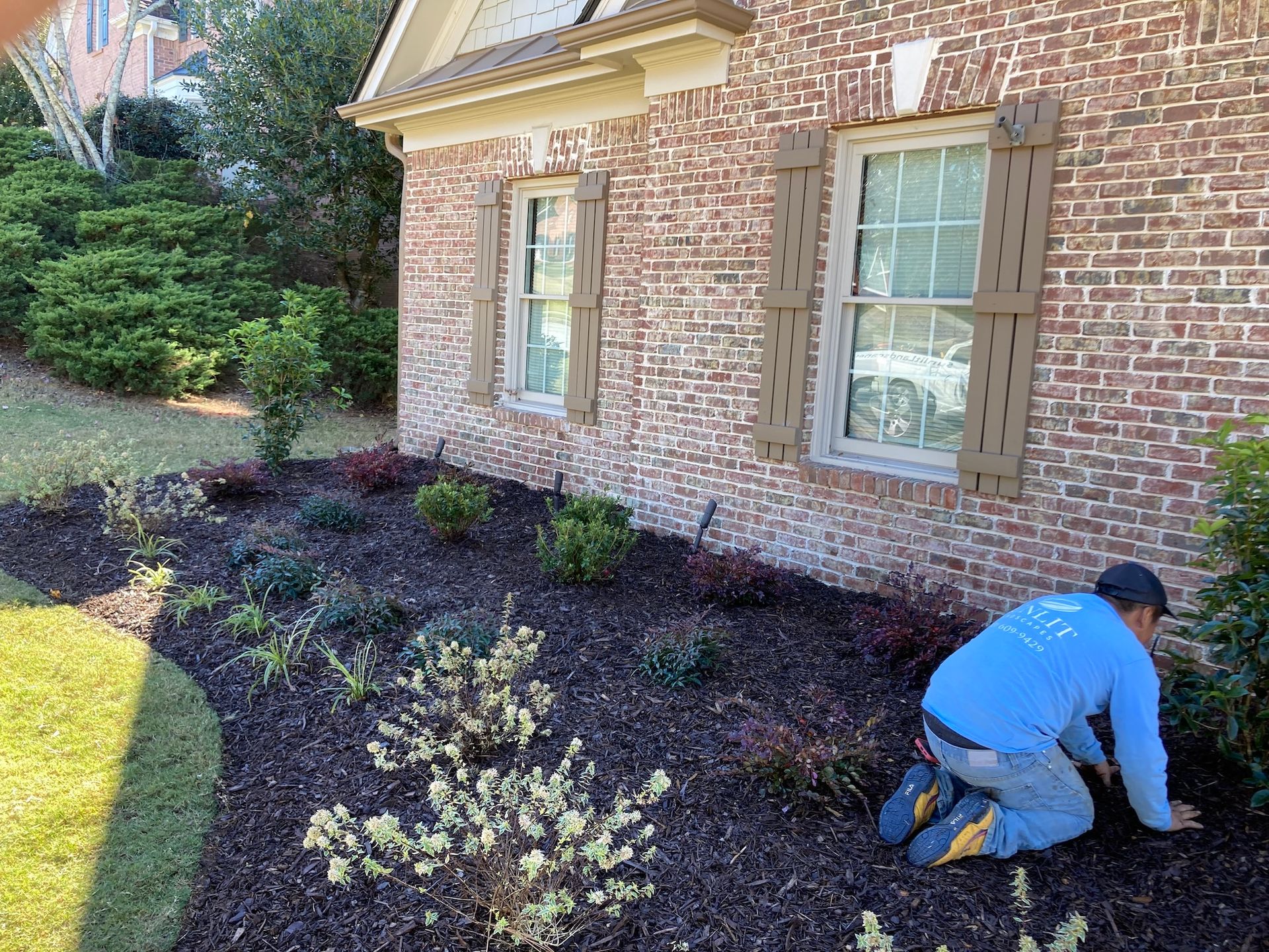 Man kneeling, tending plants in a newly landscaped flower bed beside a brick house. Mulch, shrubs, and shutters.