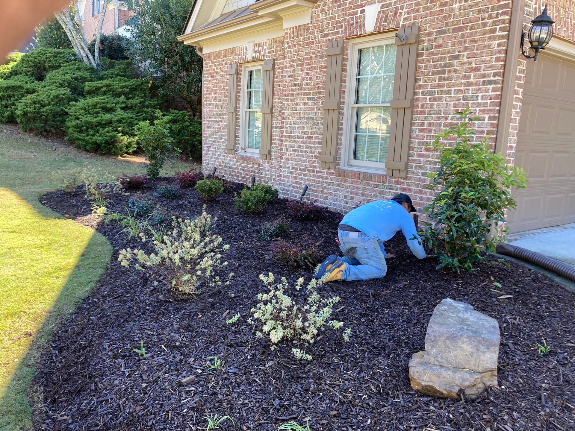 Man kneeling in a landscaped garden bed mulching plants near a brick house.