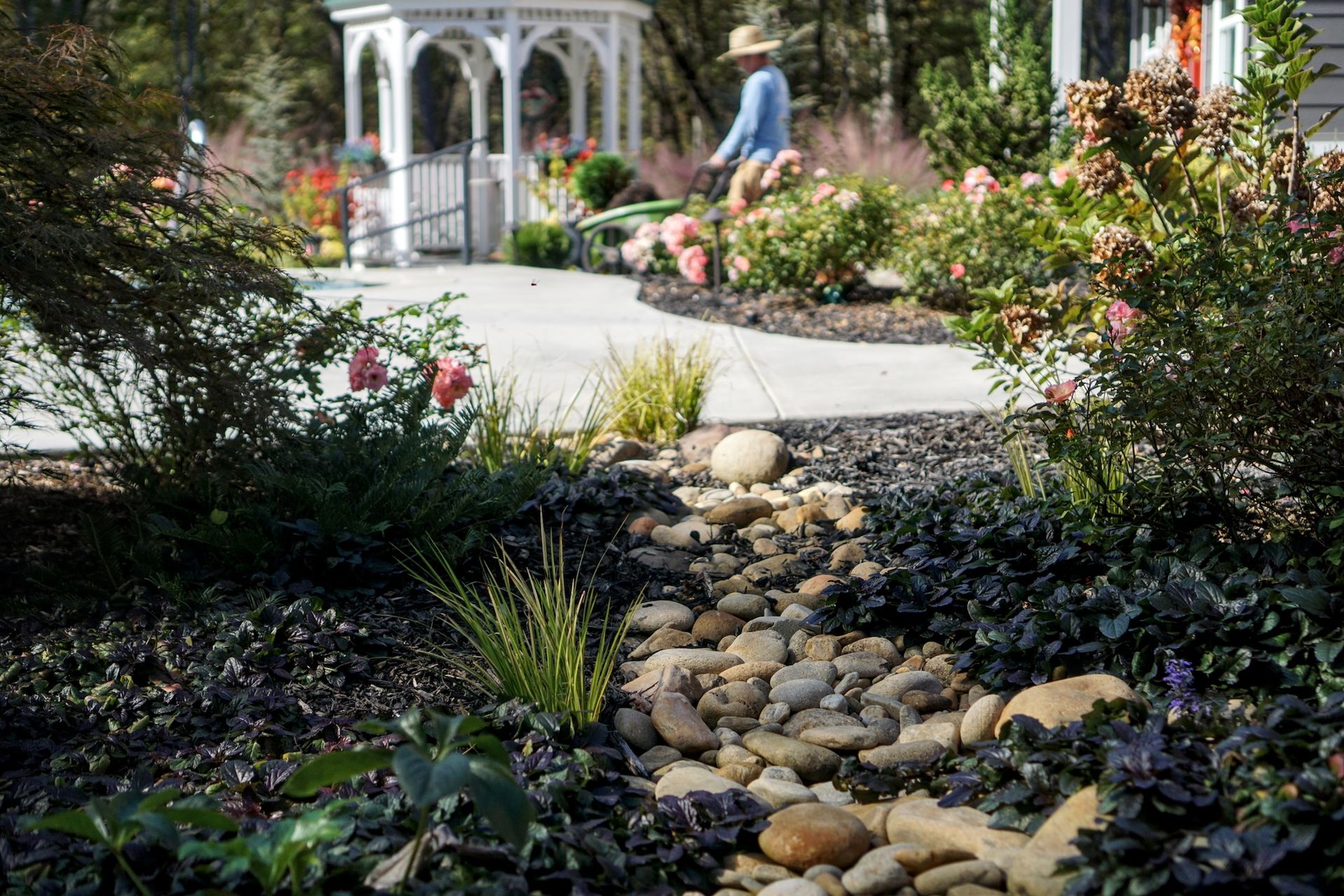 Landscape Design & Installation