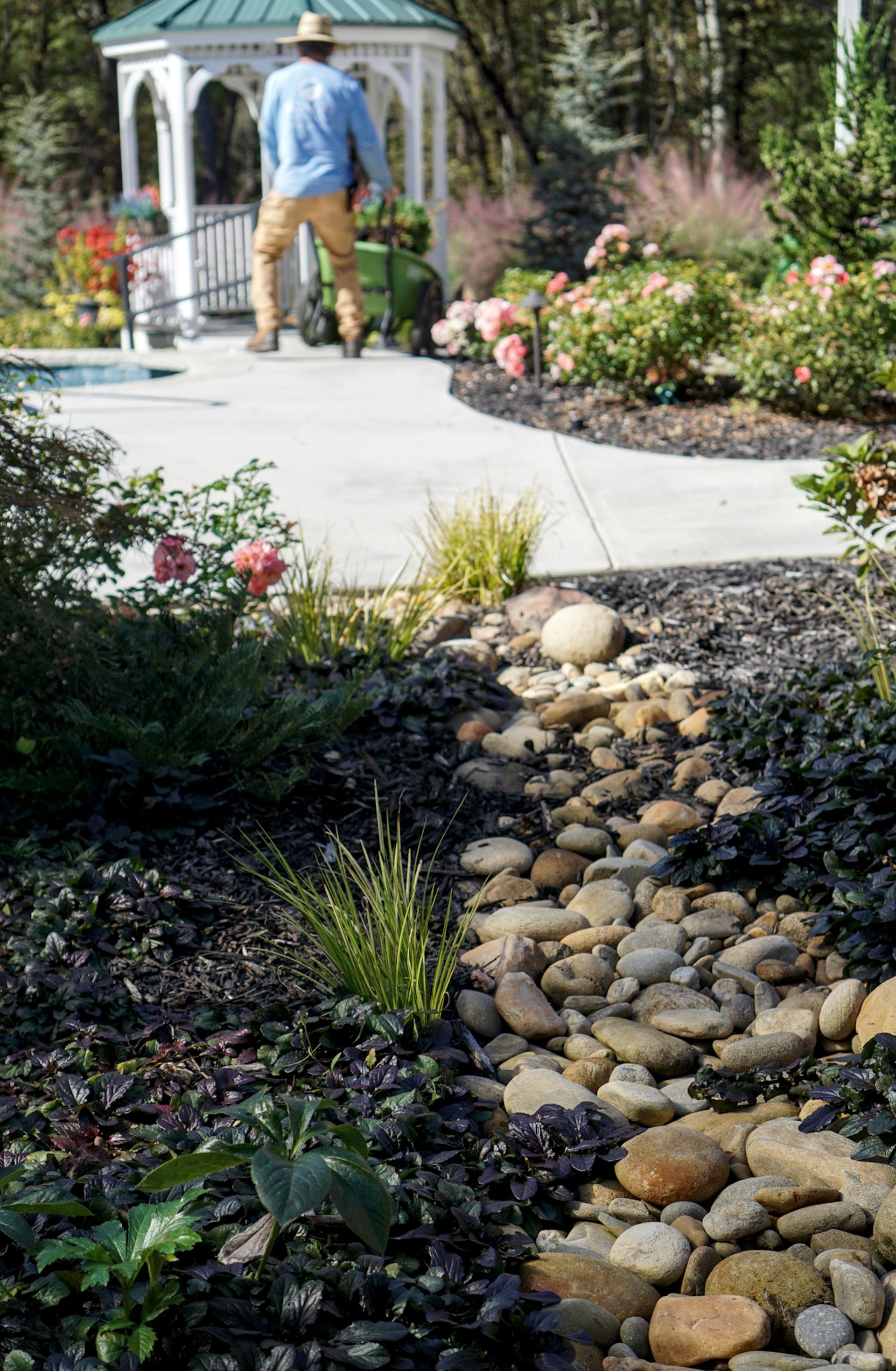 Man with a cart walking on a path in a garden near a stone-lined water feature and a gazebo.