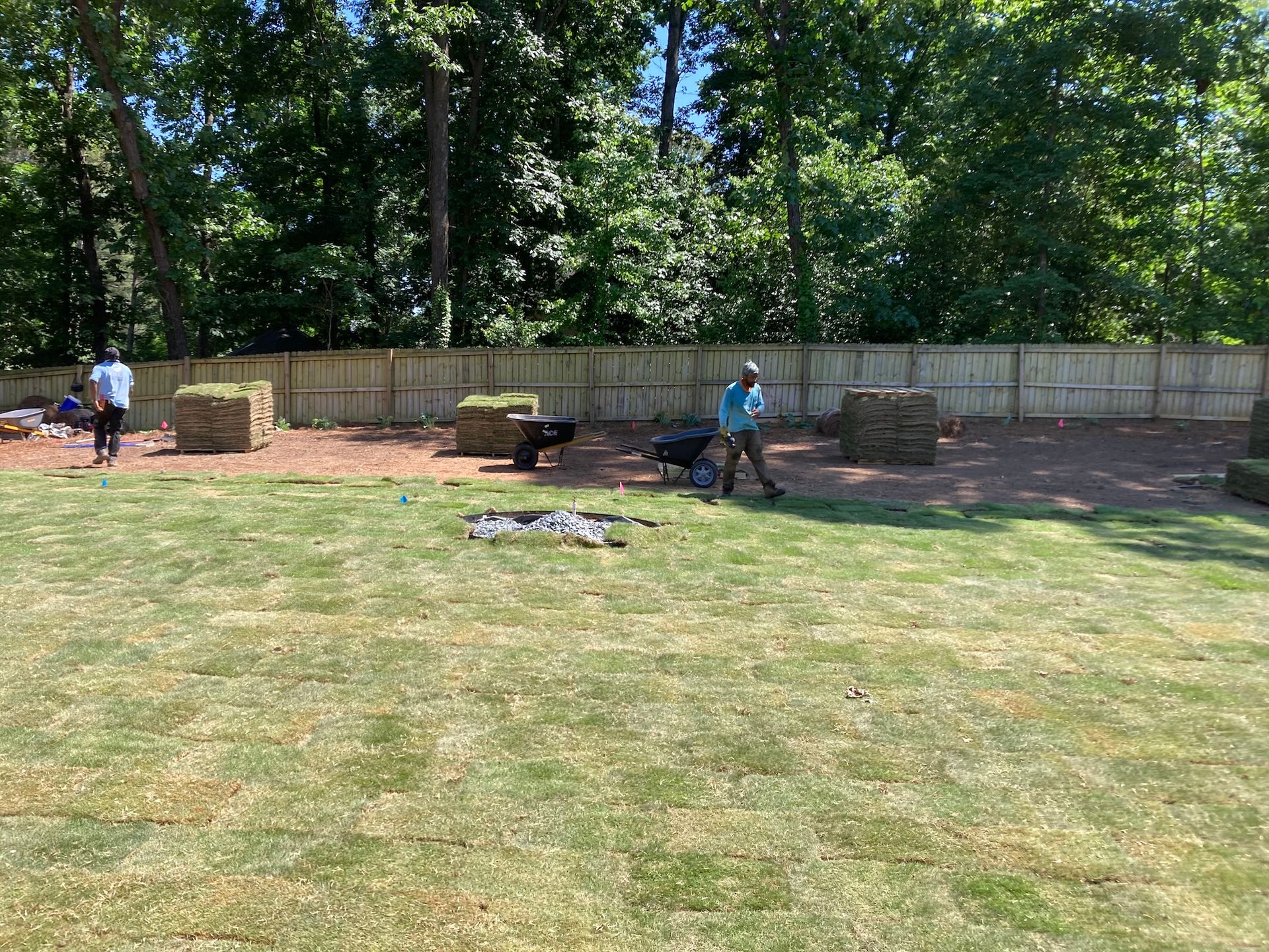 People sodding a backyard with a wood fence, trees, and stacks of sod.