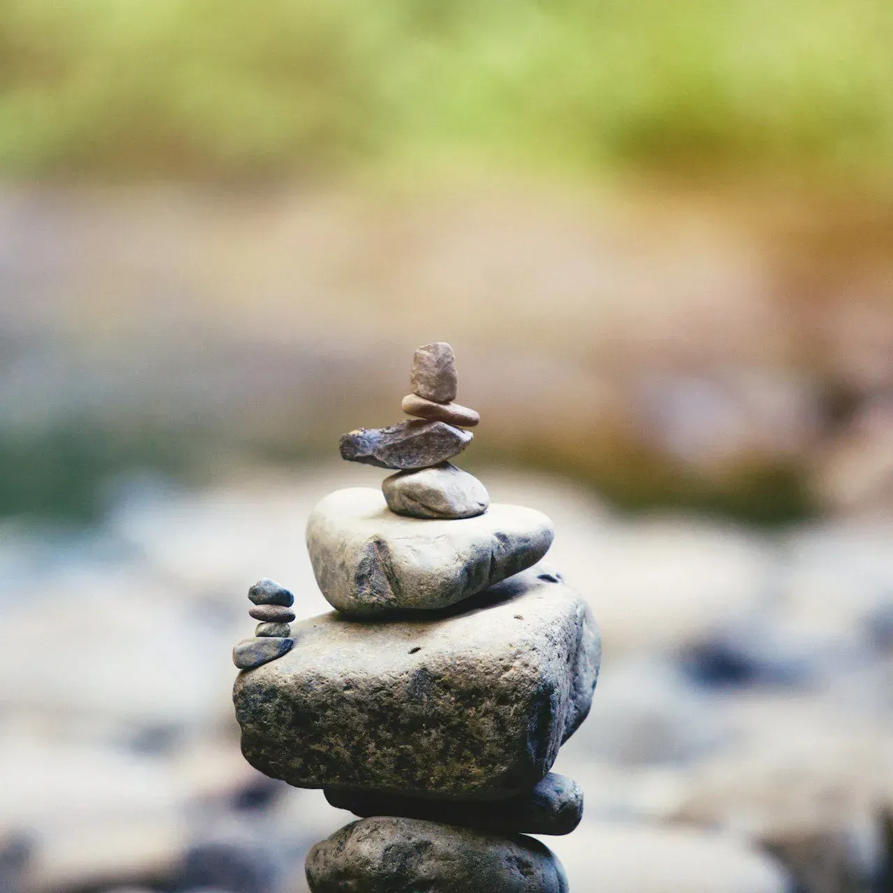 Health and Wellness Coaching