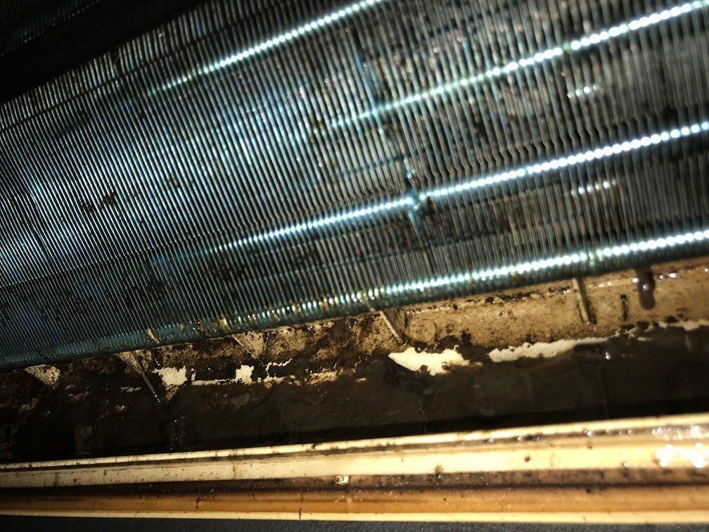 Drainage pan slime biofilm-build up