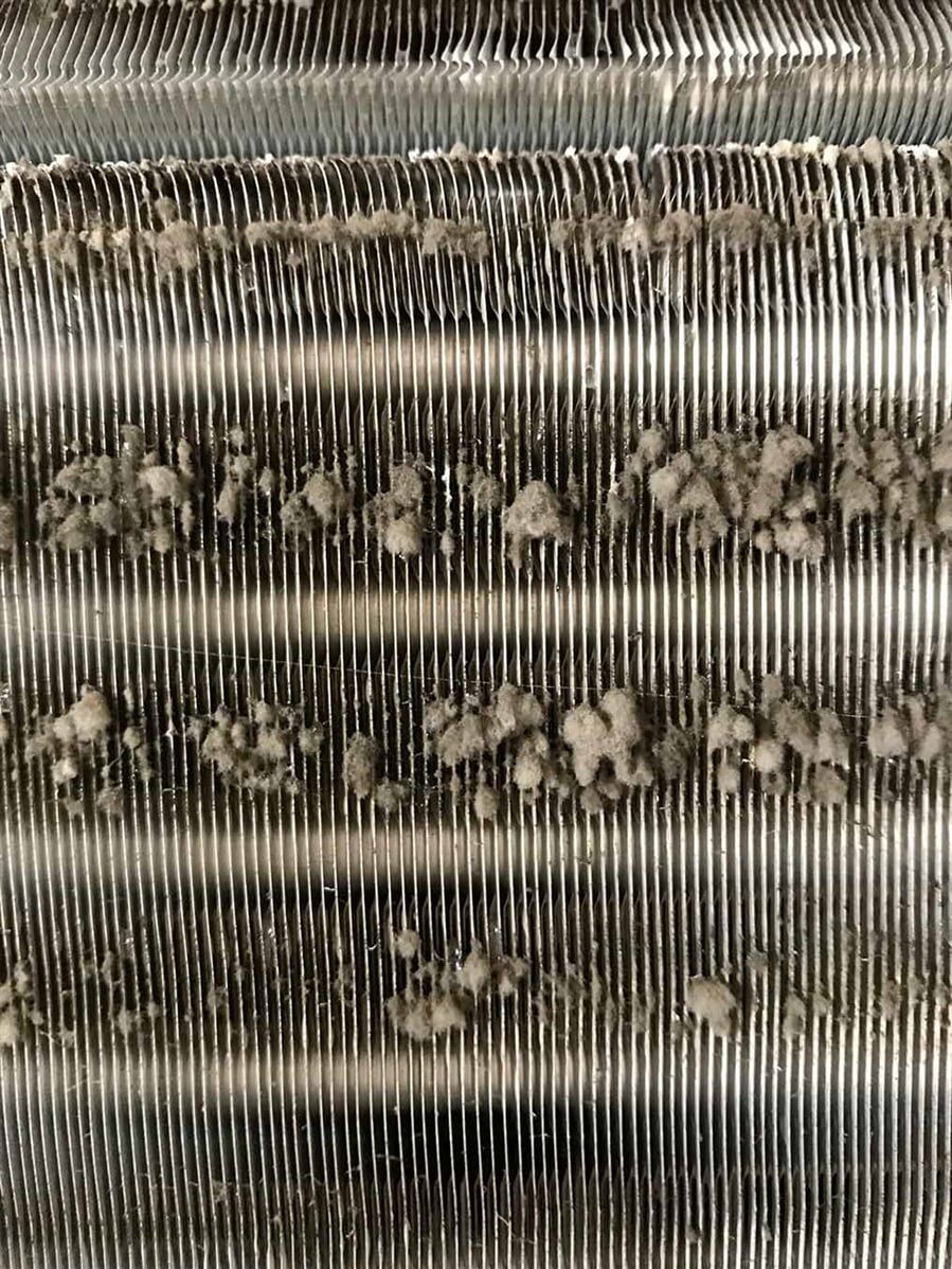 Mould on evaporator coils