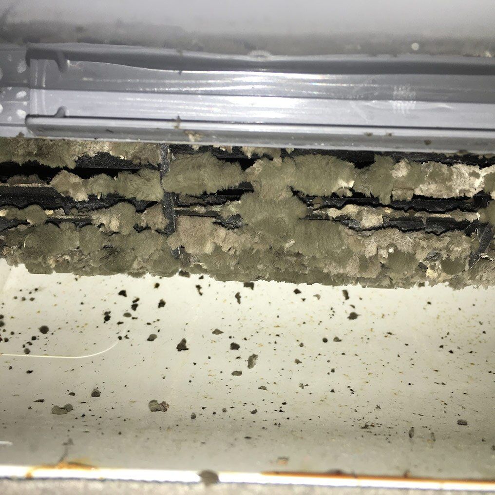Scroll fan blocked with mould-growing on it