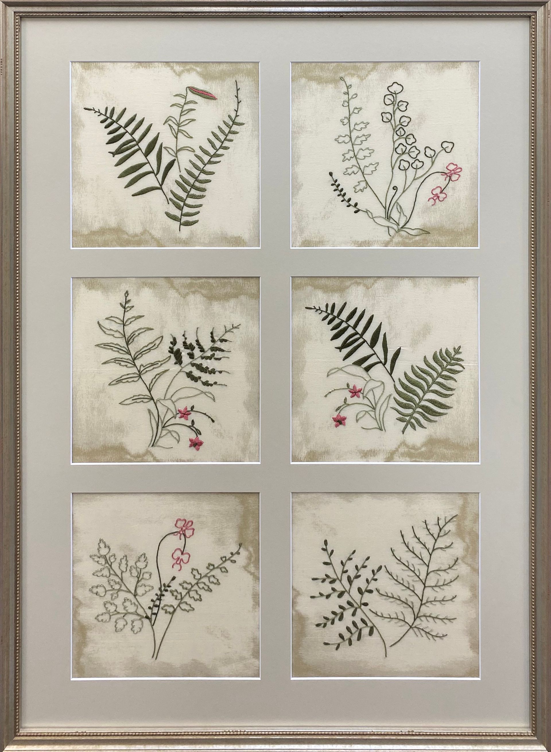 variety of leaf imprints