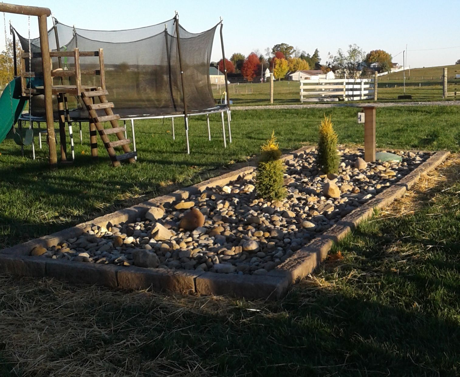 Stone-filled garden bed with young evergreen trees and bird bath, in a grassy backyard, with a playground and trampoline.