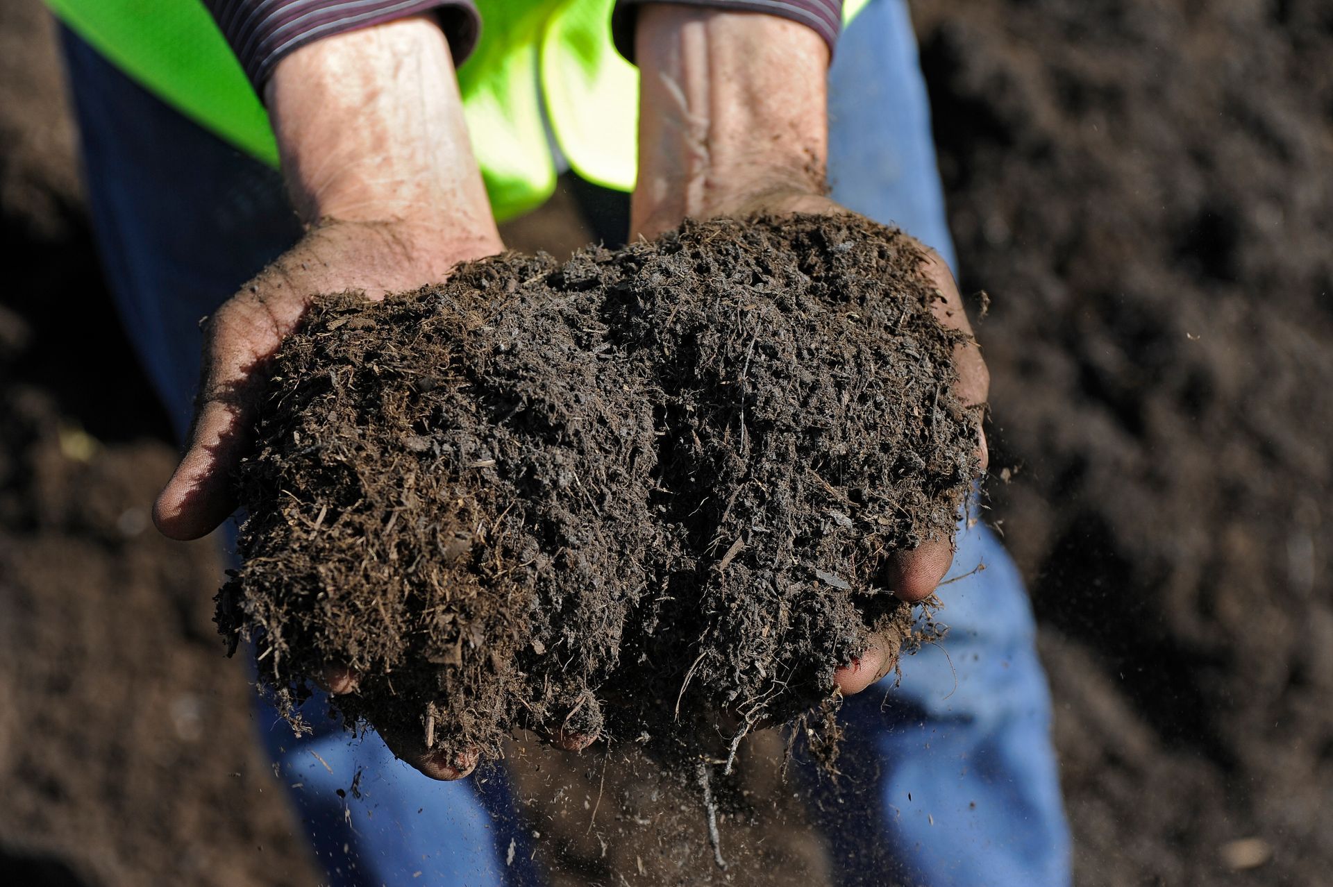 Hands holding a large handful of dark, rich compost.