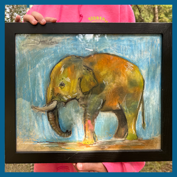 Drawing Classes elephant