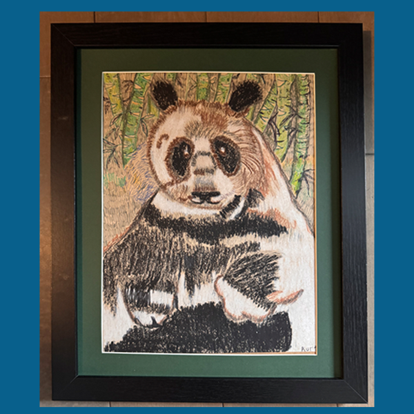 Panda Drawing
