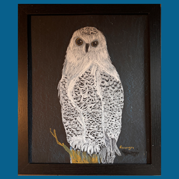 owl_drawing_childrens_drawing_class