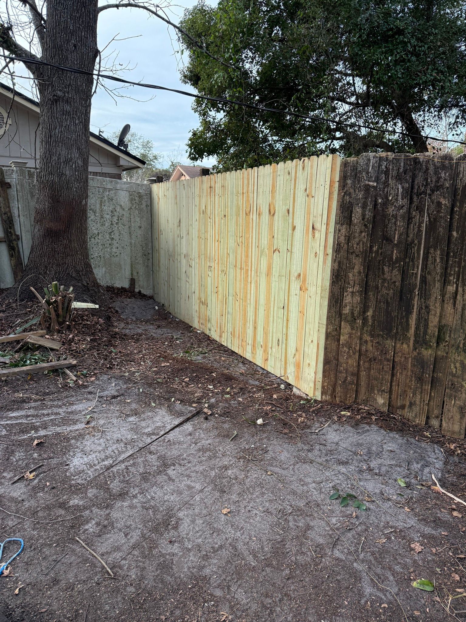 New wooden fence beside a tree along a gravel path in a yard