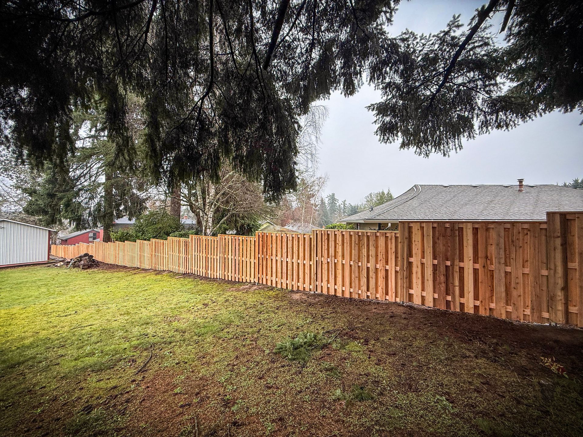 New wooden fence in a backyard, with grass and trees under a cloudy sky.
