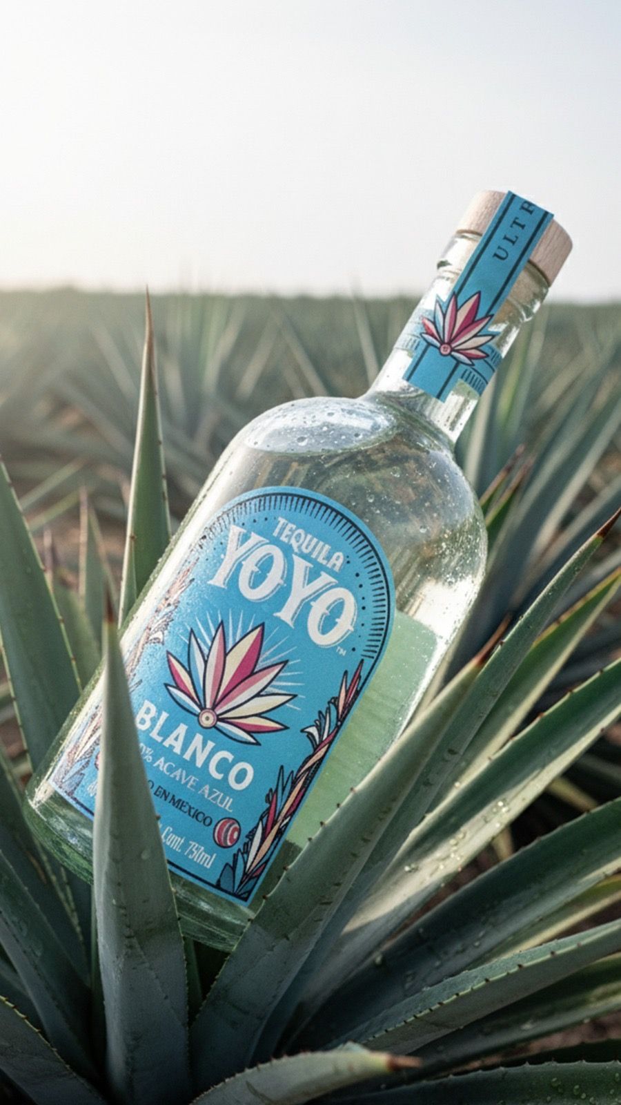 Tequilas Blancos