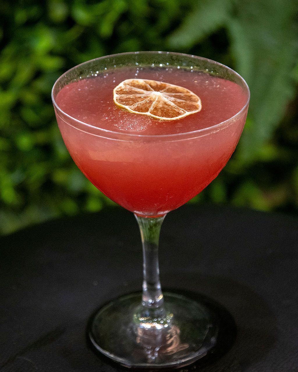 Pink cocktail in a coupe glass, garnished with a dried citrus slice, on a dark surface with green background.
