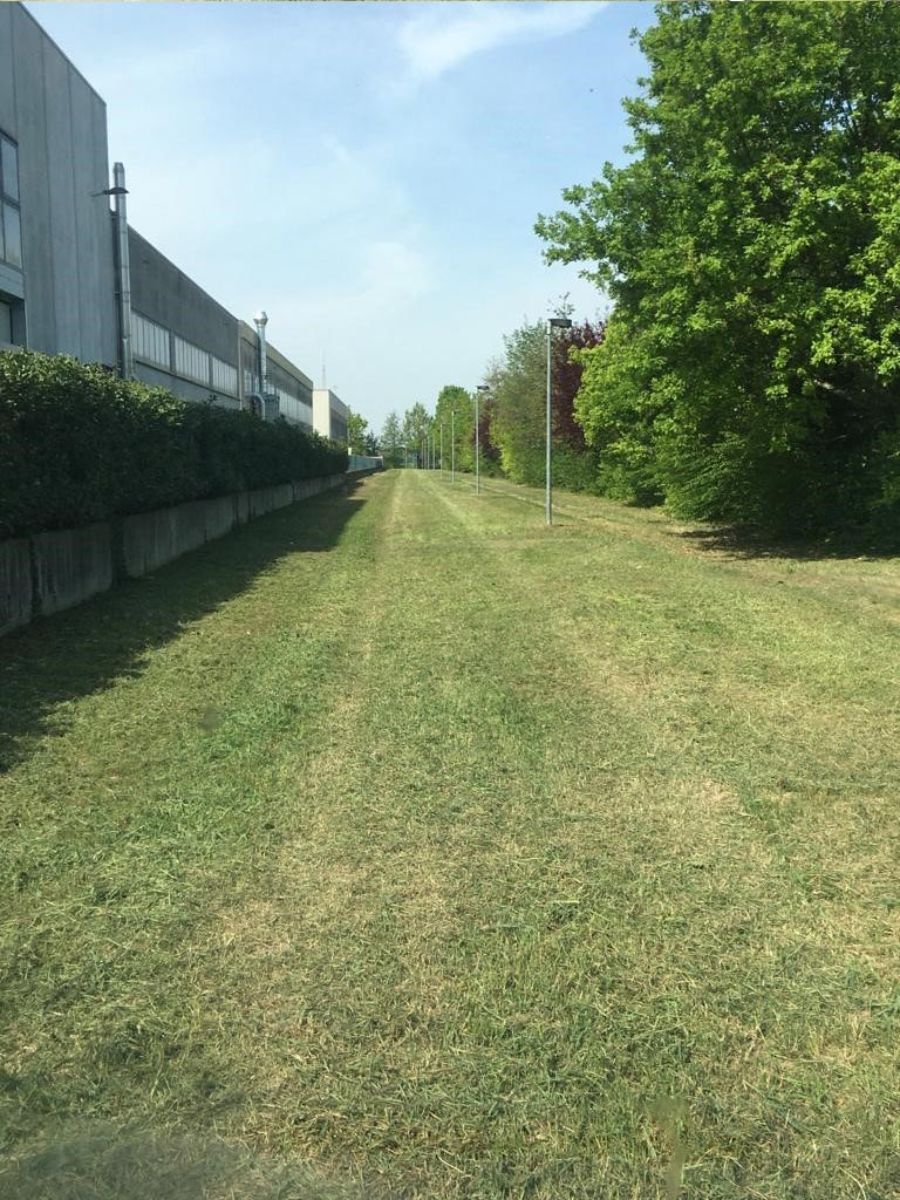 manutenzione del verde