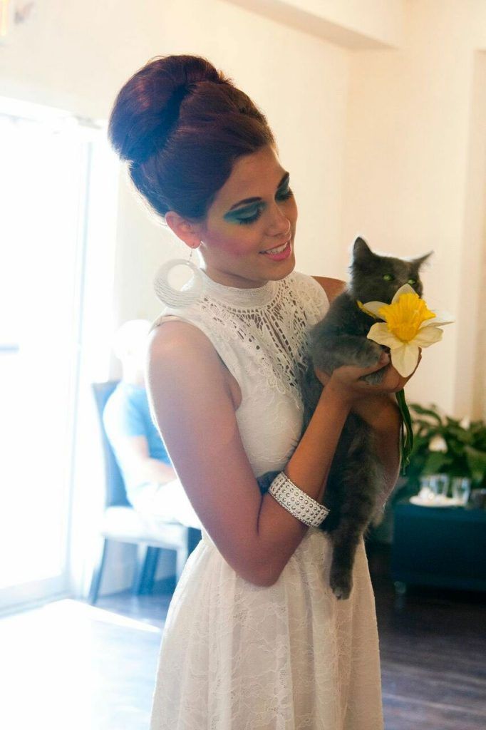 Woman with high hair holds a gray cat with a flower in its paws. White dress, indoor setting.