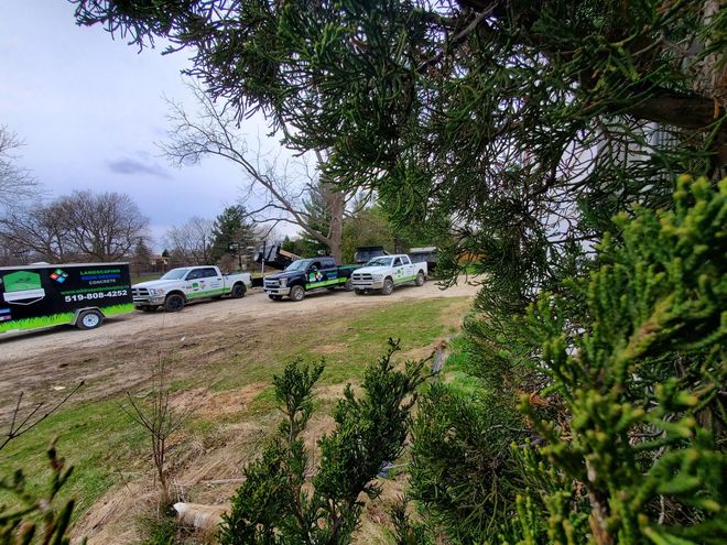 Parked cars and a bus along a dirt road, viewed through green bushes under cloudy sky