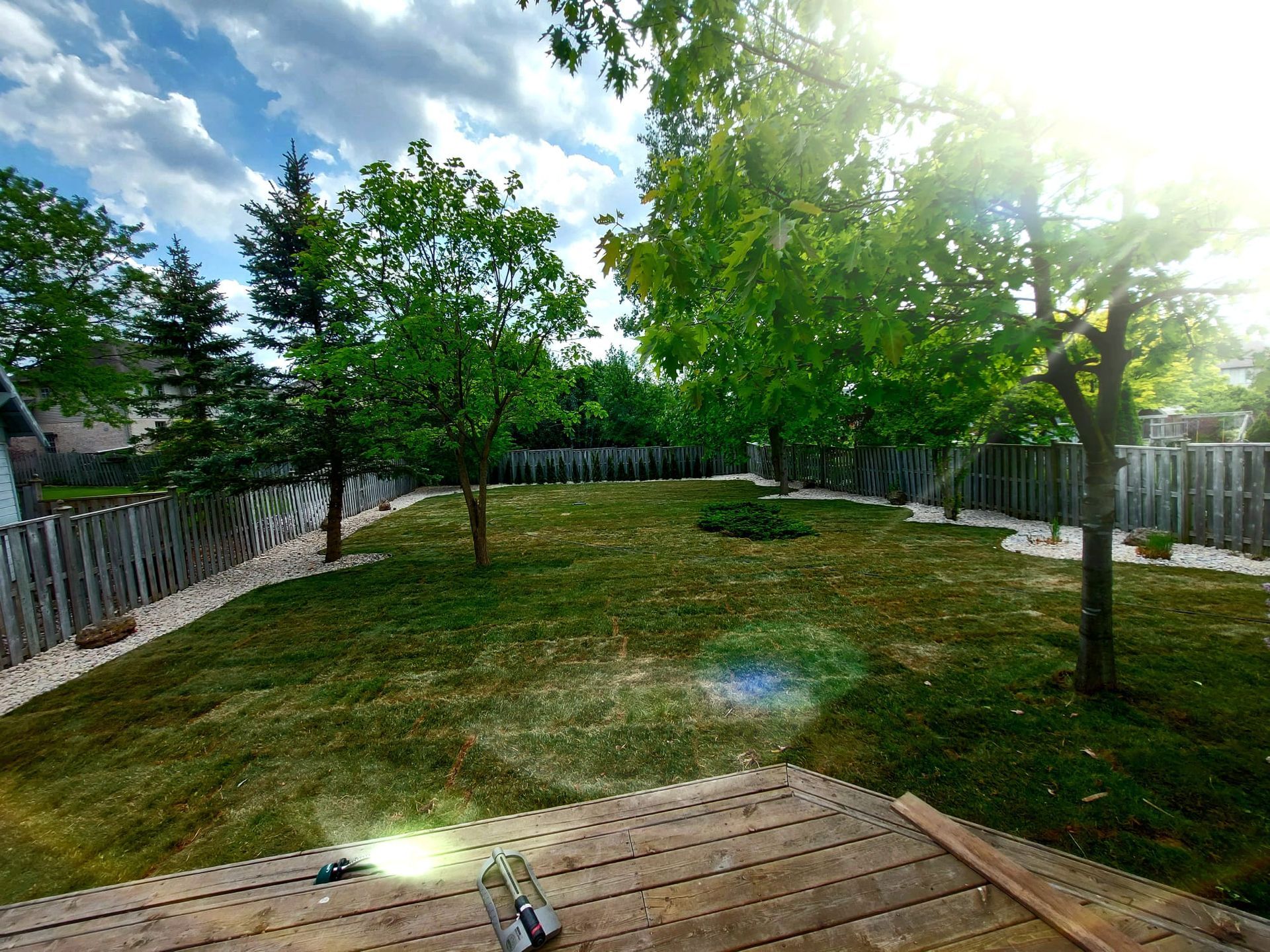 wildroses landscaping images