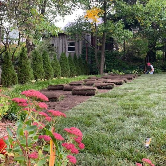 wildroses landscaping images