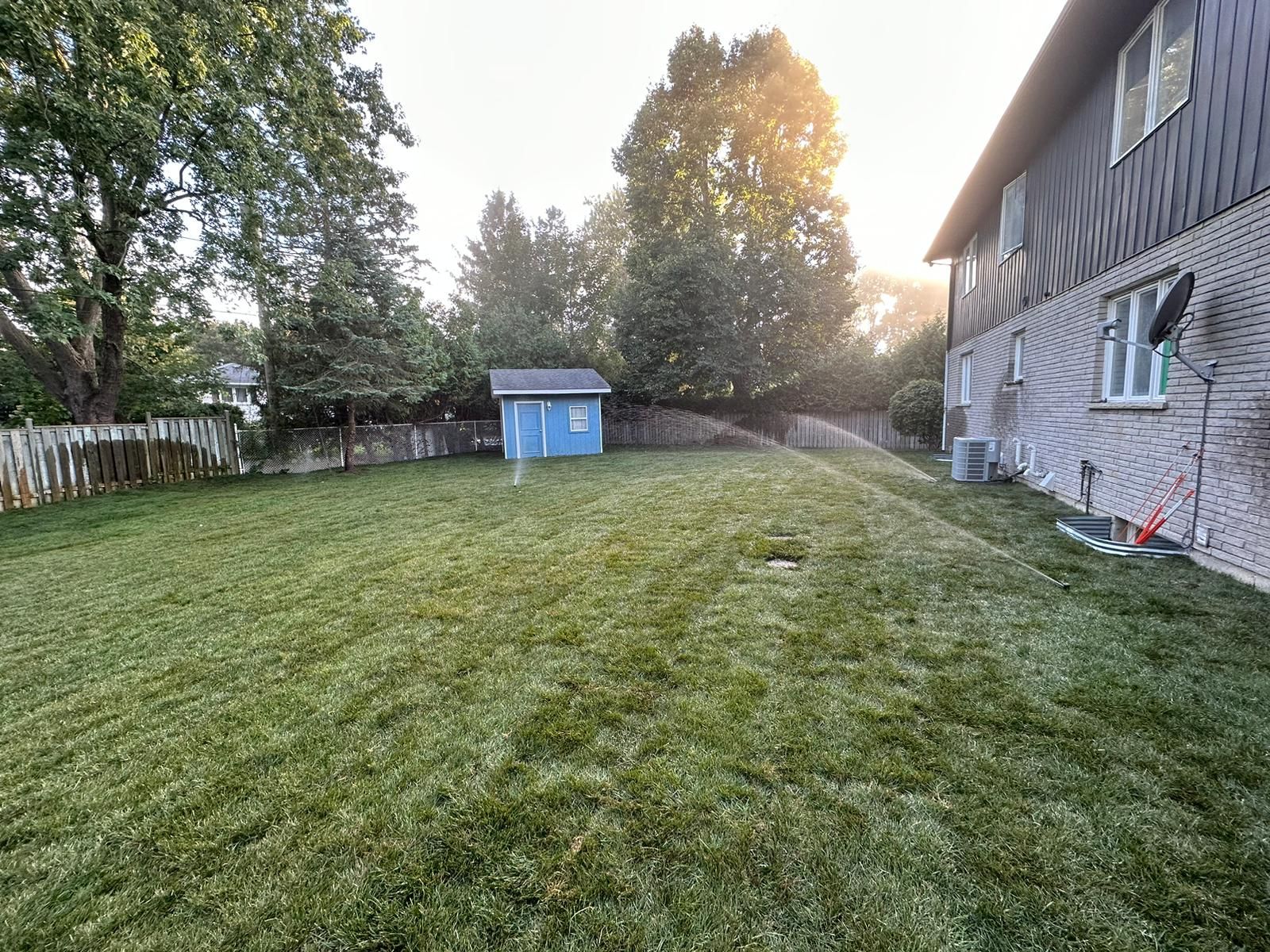 Backyard lawn with a small blue shed, trees, and a house beside the grass