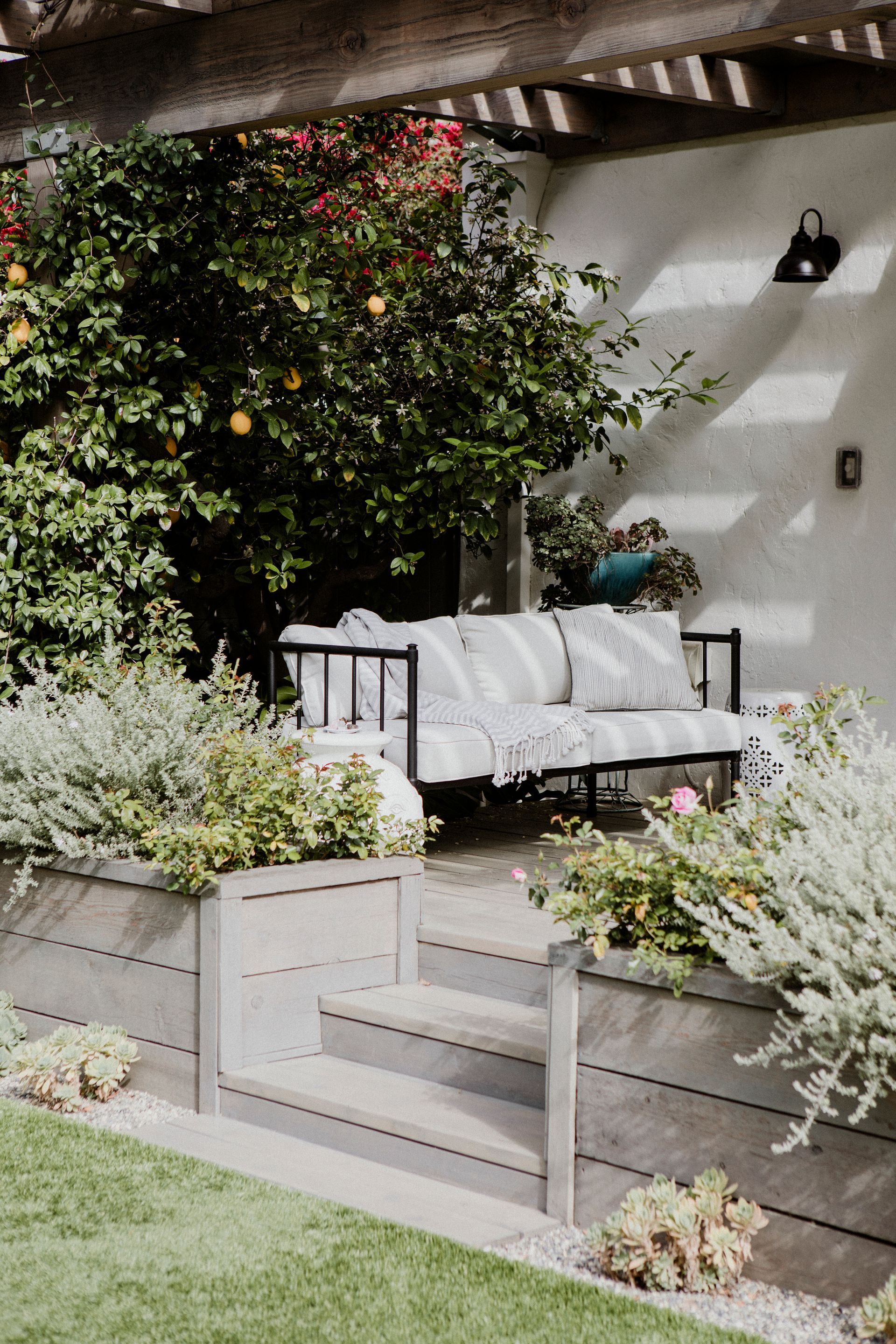 House landscape