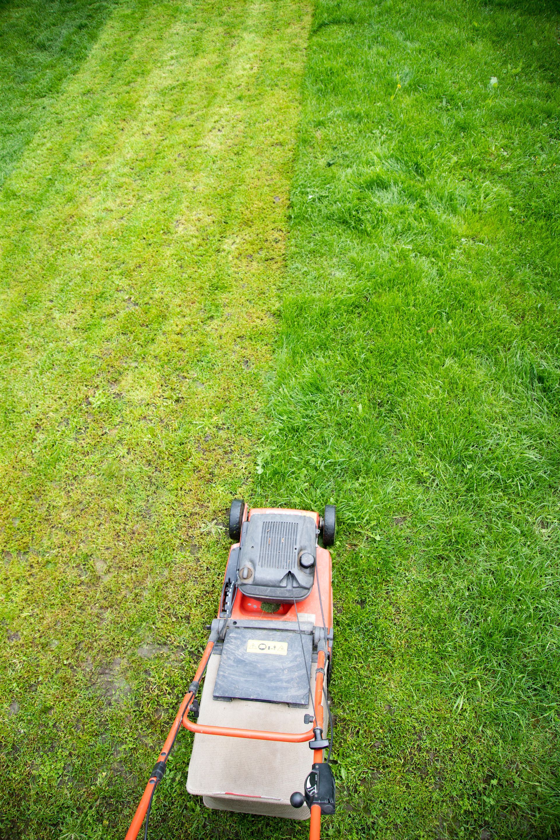 half mowed lawn