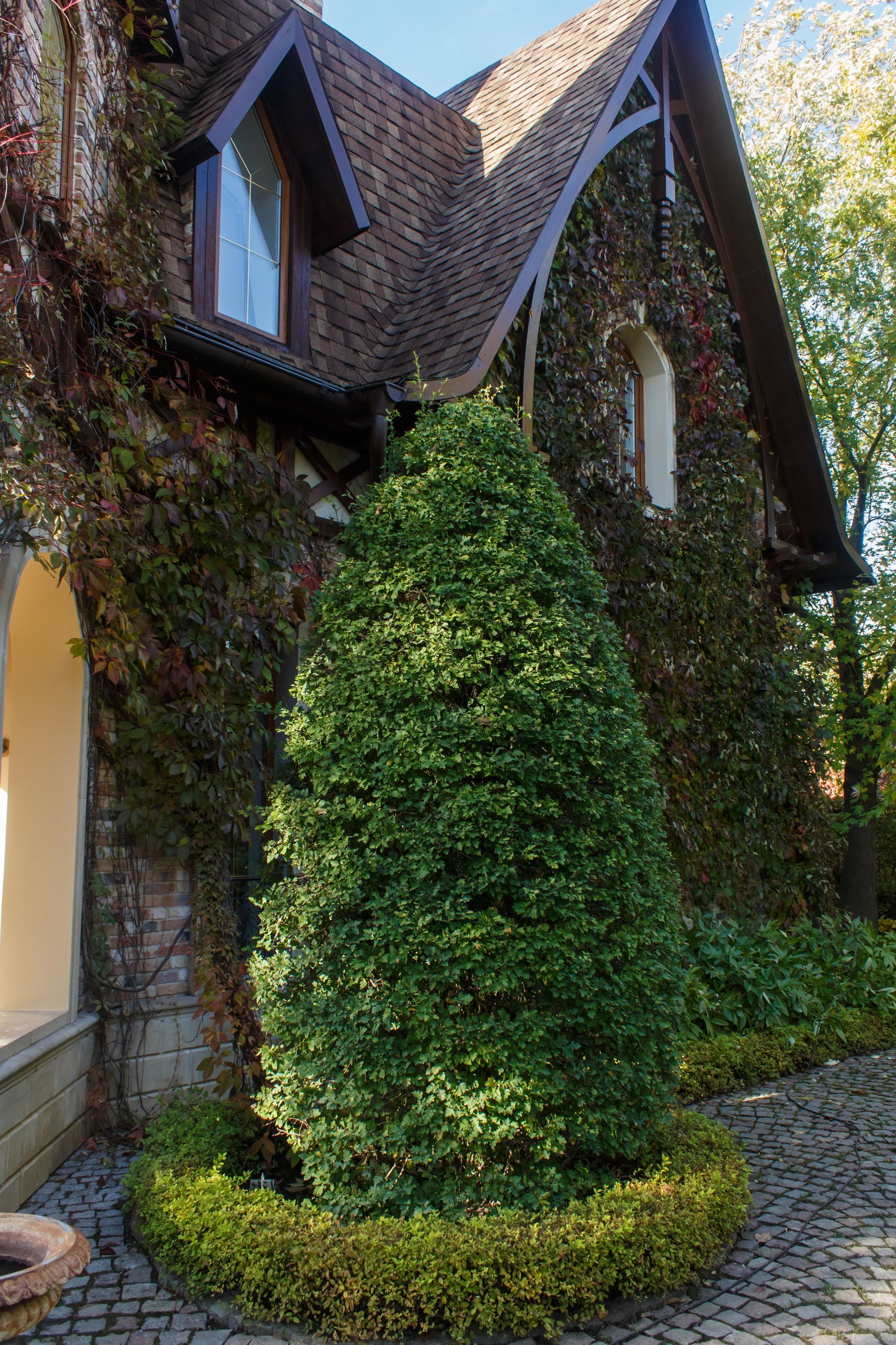 cottage with landscape design