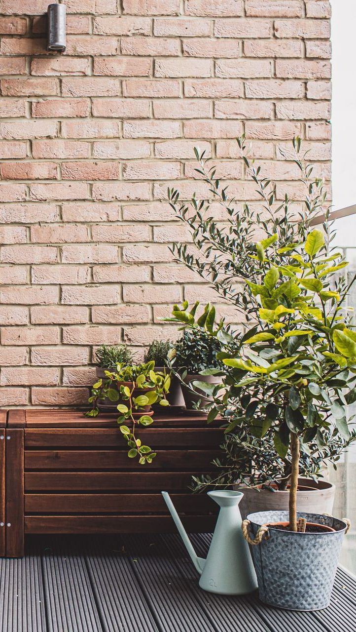 A wooden box filled with potted plants and a watering can on a balcony.