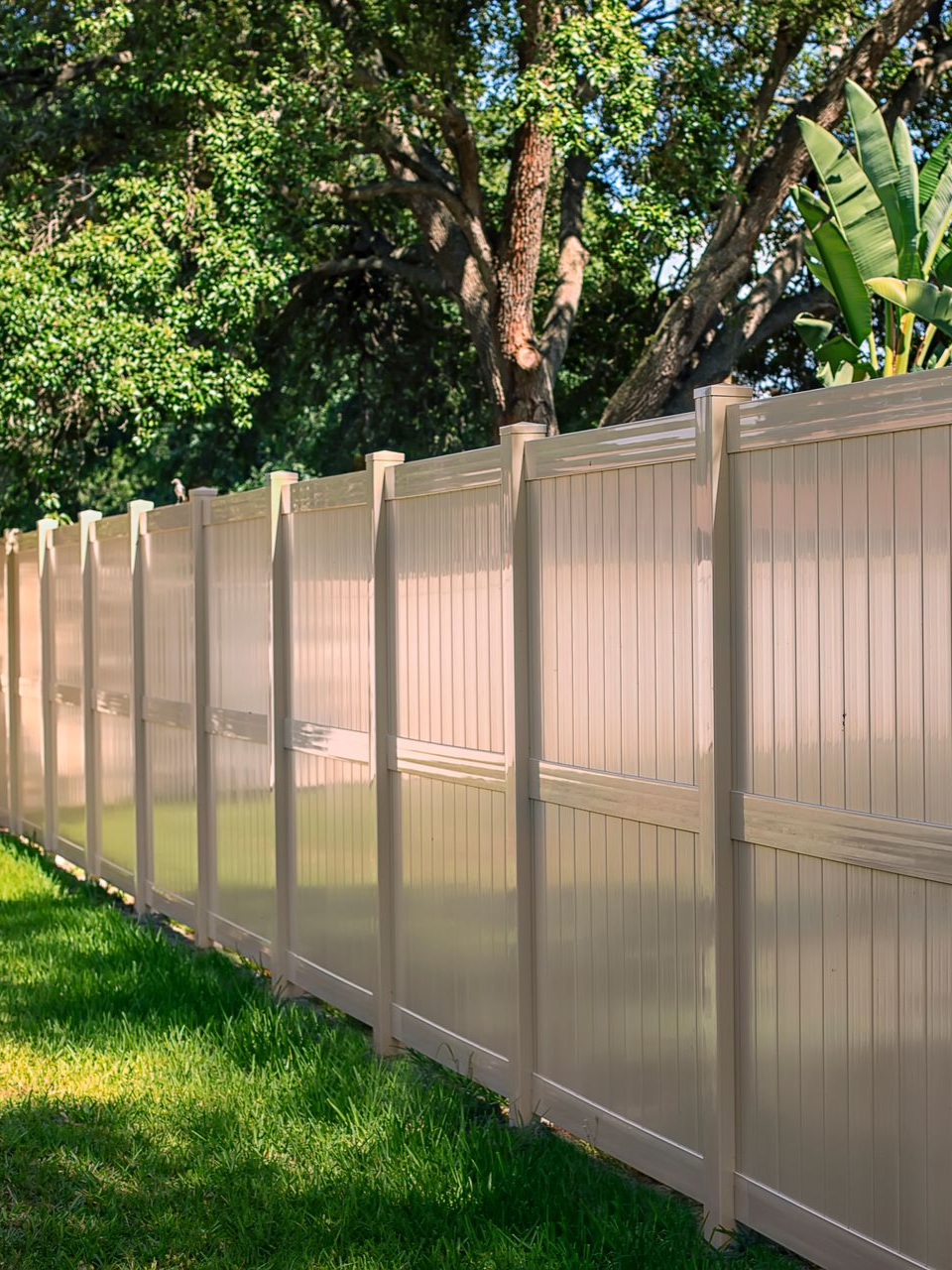 Tall beige fence along a grassy yard with trees and sunlight behind it