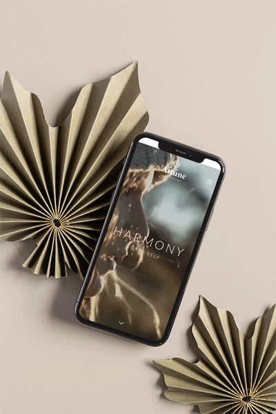 Smartphone displaying 